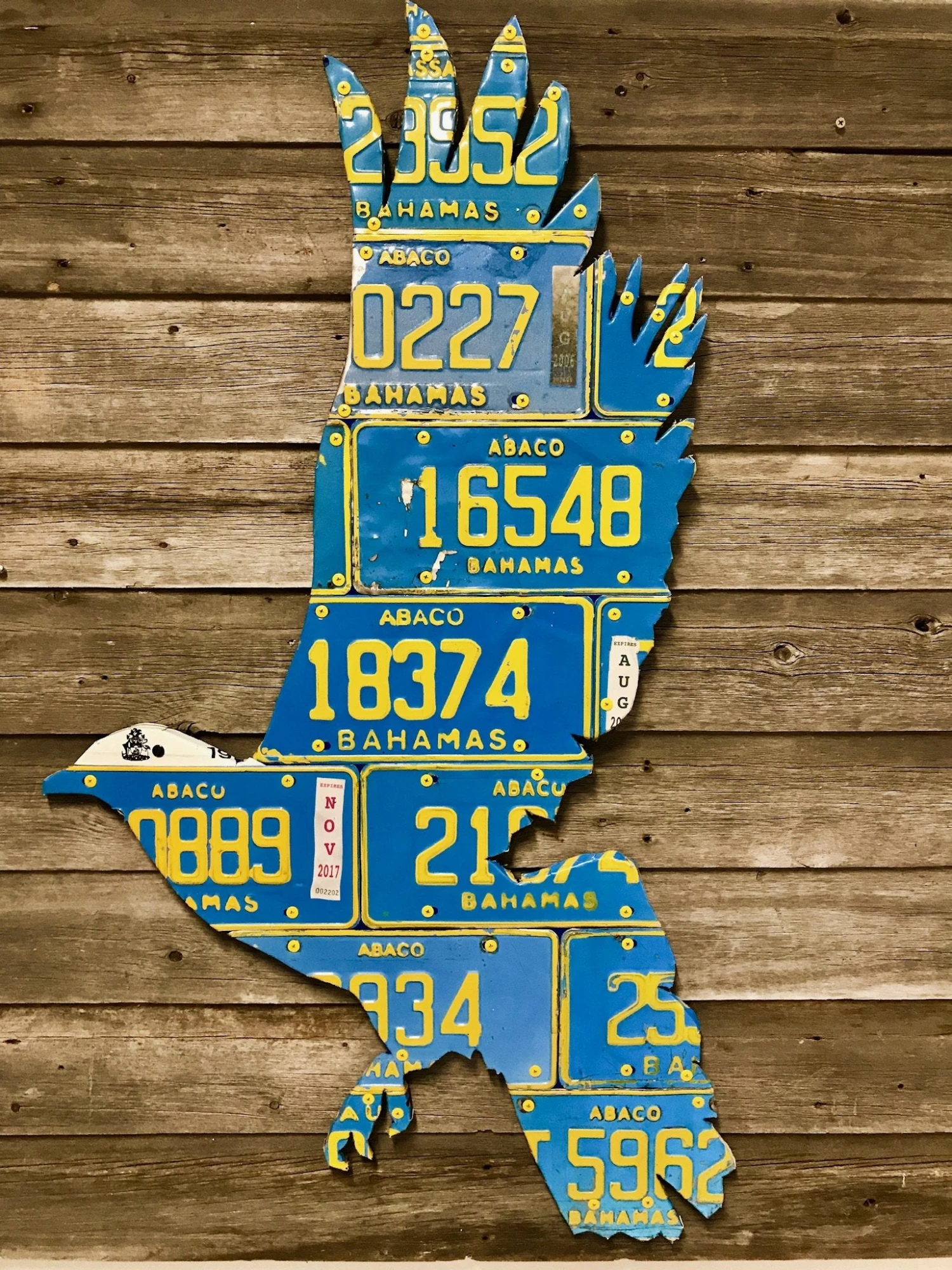 Cody Richardson Art - Bahamas White Crown Pigeon License Plate Art