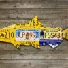 Cody Richardson Art - Alaska Chinook Salmon License Plate Art