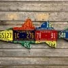Cody Richardson Art - Antique Florida Snook License Plate Art