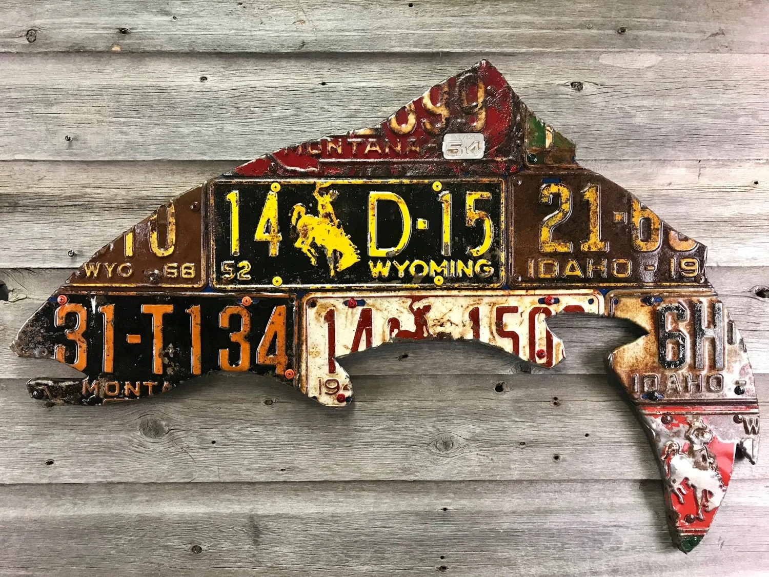 Cody Richardson Art - Antique Mixed Western State Trout License Plate Art