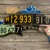 Cody Richardson Art - Maryland Antique Trout License Plate Art