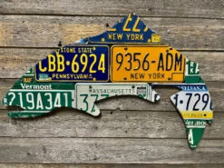 Cody Richardson Art - North East Trout License Plate Art