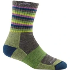 Darn Tough Womens Stripes Micro Crew Sock Cushion