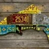 Cody Richardson Art - New Mexico Trout License Plate Art