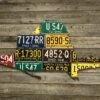 Cody Richardson Art - Mixed State Sailfish License Plate Art
