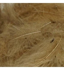 Trout Hunter CDC Feathers Dyed Bulk 3.5 Gram - Image 3